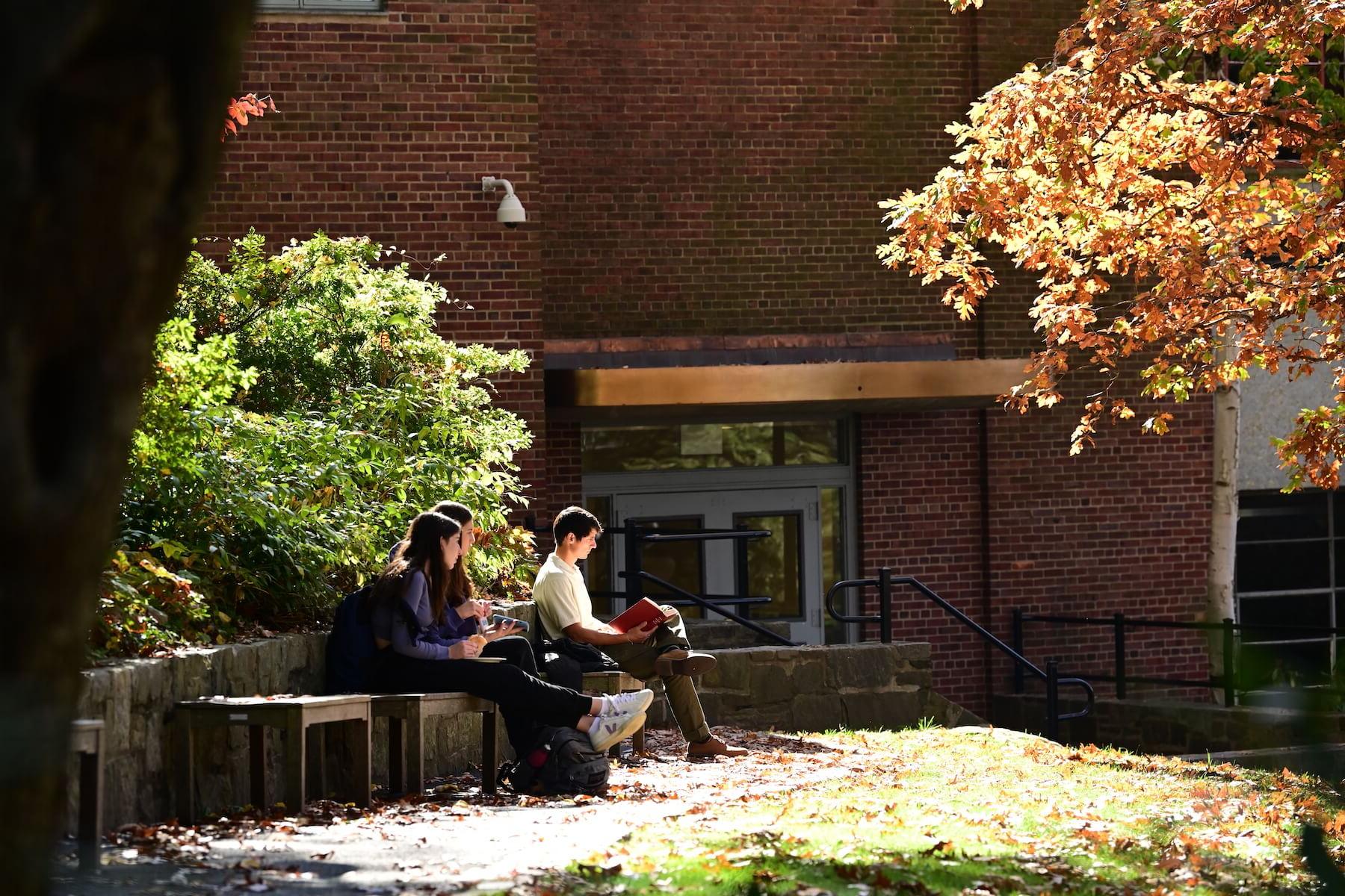 道德文化菲尔德斯顿学校高年级的学生坐在院子里晒太阳