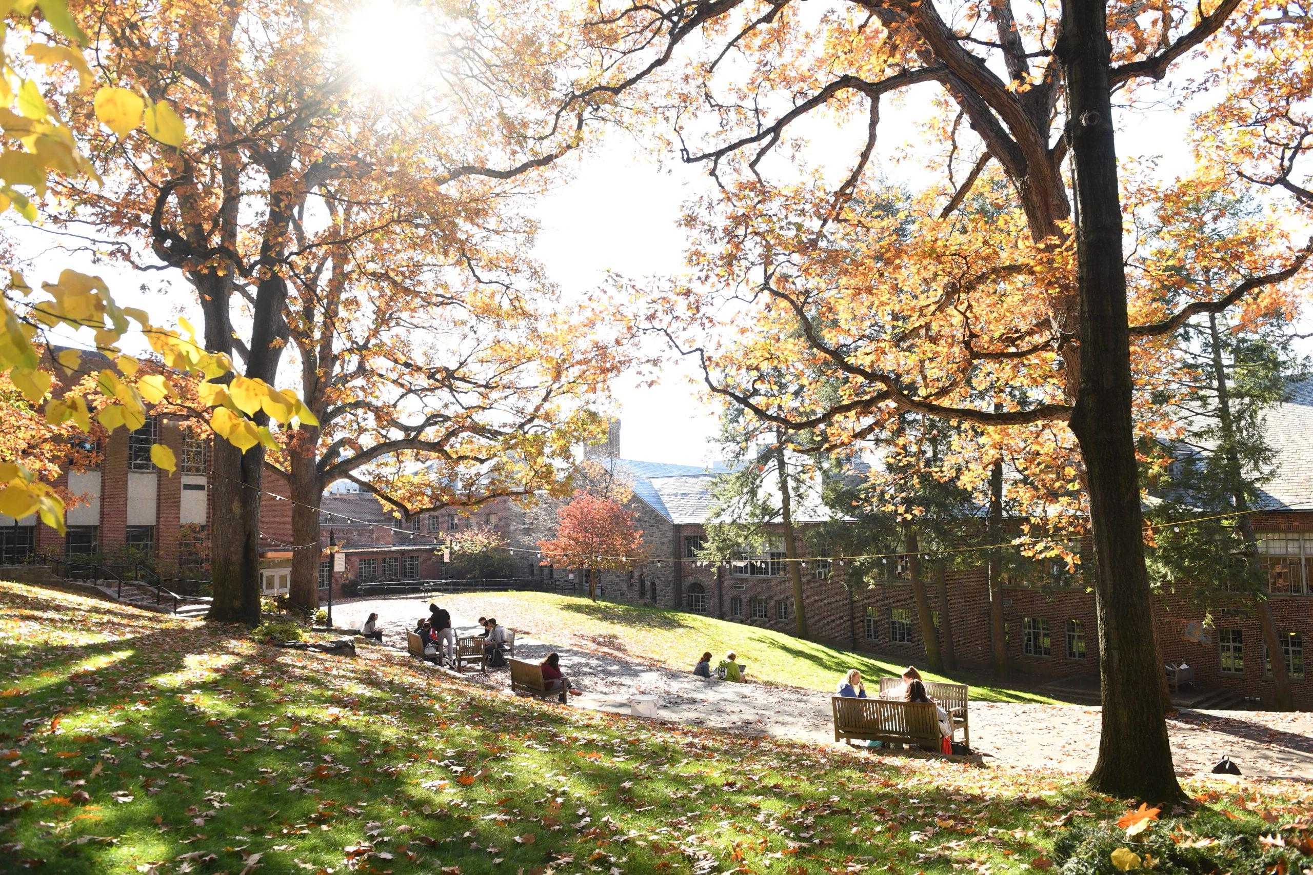 菲尔德斯顿广场的广阔视野，秋天的树叶和学生们坐在远处的长椅上.