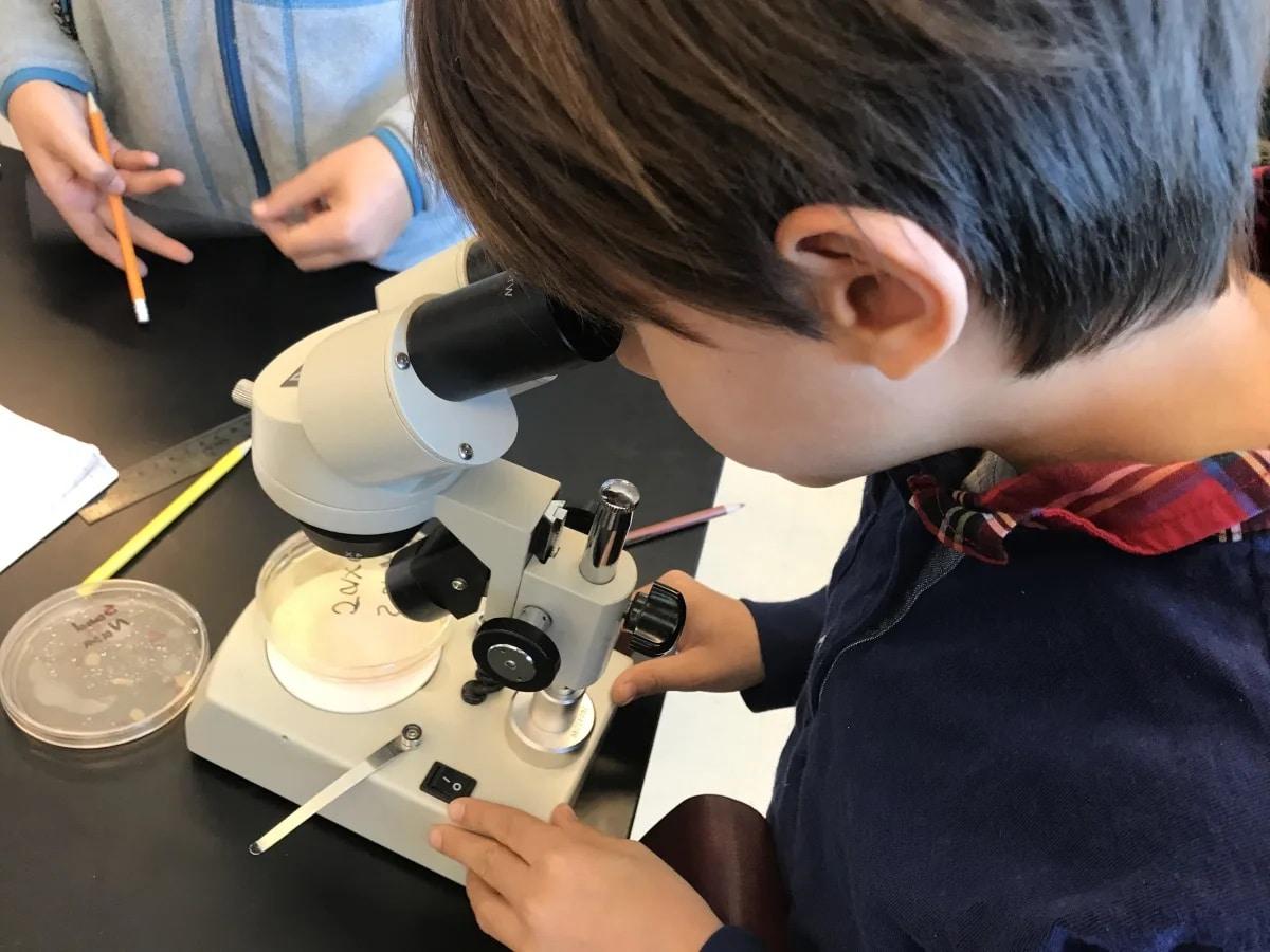 学生透过显微镜观察